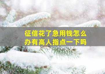 征信花了急用钱怎么办有高人指点一下吗