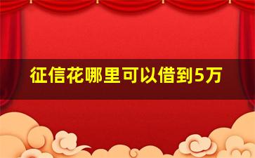 征信花哪里可以借到5万