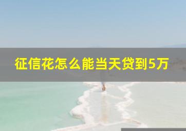 征信花怎么能当天贷到5万