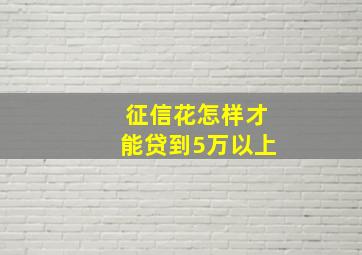 征信花怎样才能贷到5万以上