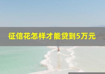 征信花怎样才能贷到5万元