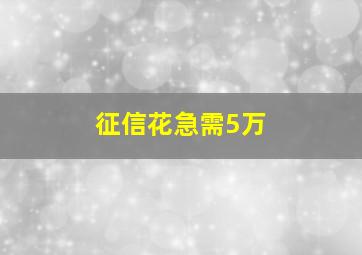 征信花急需5万