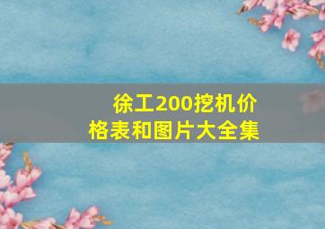 徐工200挖机价格表和图片大全集