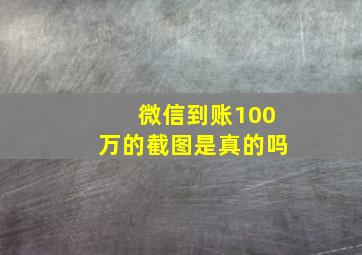 微信到账100万的截图是真的吗