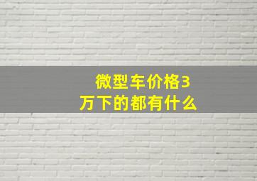 微型车价格3万下的都有什么