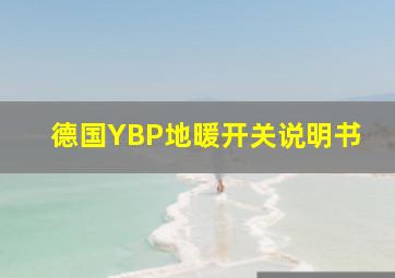 德国YBP地暖开关说明书