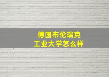 德国布伦瑞克工业大学怎么样