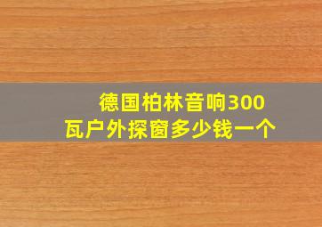 德国柏林音响300瓦户外探窗多少钱一个