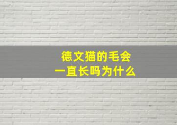 德文猫的毛会一直长吗为什么