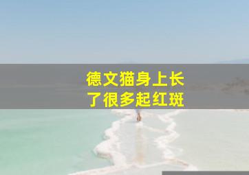 德文猫身上长了很多起红斑