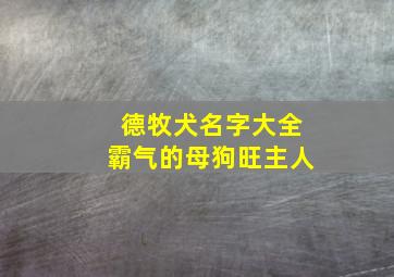 德牧犬名字大全霸气的母狗旺主人