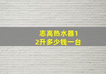 志高热水器12升多少钱一台