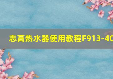 志高热水器使用教程F913-40