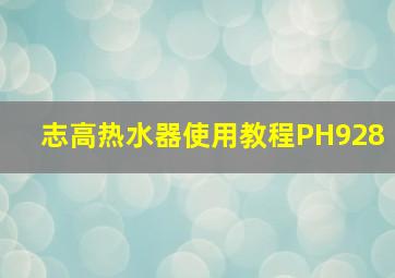 志高热水器使用教程PH928