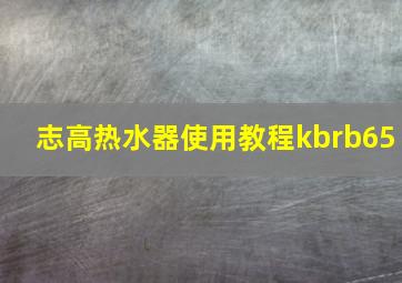 志高热水器使用教程kbrb65