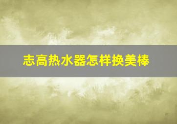 志高热水器怎样换美棒