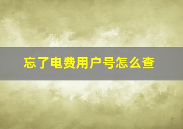 忘了电费用户号怎么查