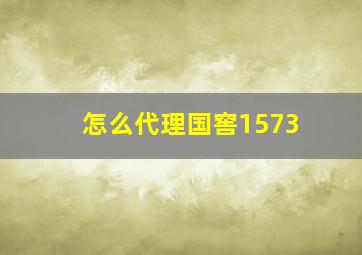 怎么代理国窖1573