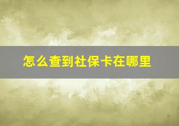 怎么查到社保卡在哪里