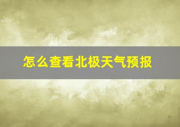 怎么查看北极天气预报