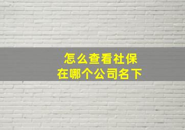 怎么查看社保在哪个公司名下