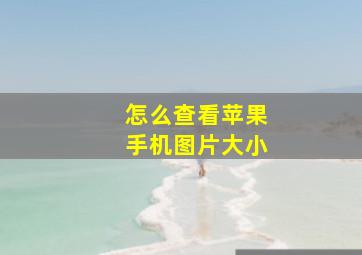 怎么查看苹果手机图片大小