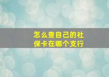 怎么查自己的社保卡在哪个支行