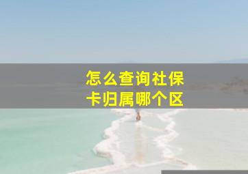 怎么查询社保卡归属哪个区