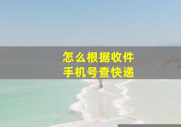 怎么根据收件手机号查快递