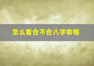 怎么看合不合八字命格