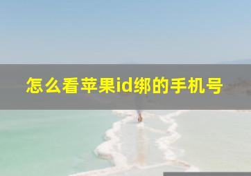 怎么看苹果id绑的手机号