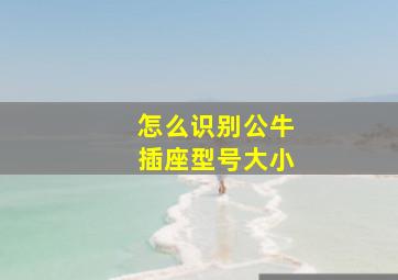 怎么识别公牛插座型号大小