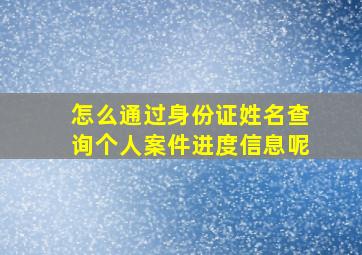 怎么通过身份证姓名查询个人案件进度信息呢