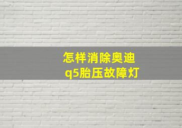 怎样消除奥迪q5胎压故障灯