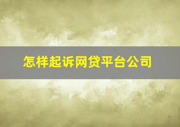 怎样起诉网贷平台公司