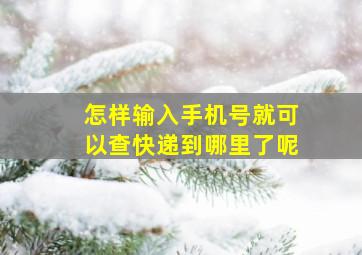 怎样输入手机号就可以查快递到哪里了呢