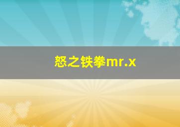 怒之铁拳mr.x