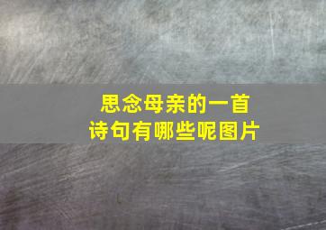 思念母亲的一首诗句有哪些呢图片