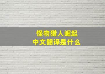 怪物猎人崛起中文翻译是什么