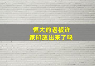 恒大的老板许家印放出来了吗