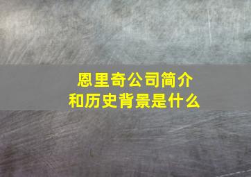 恩里奇公司简介和历史背景是什么