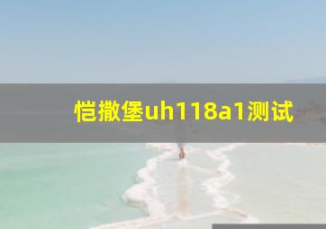 恺撒堡uh118a1测试