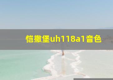 恺撒堡uh118a1音色