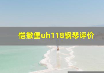 恺撒堡uh118钢琴评价