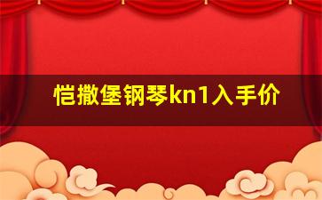 恺撒堡钢琴kn1入手价