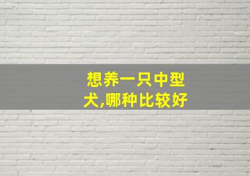 想养一只中型犬,哪种比较好