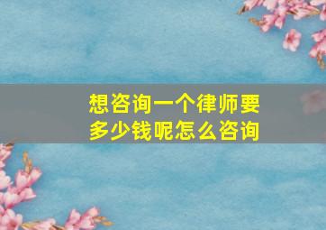 想咨询一个律师要多少钱呢怎么咨询