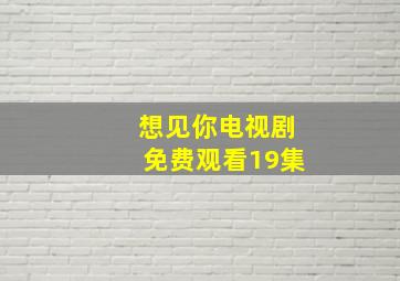 想见你电视剧免费观看19集