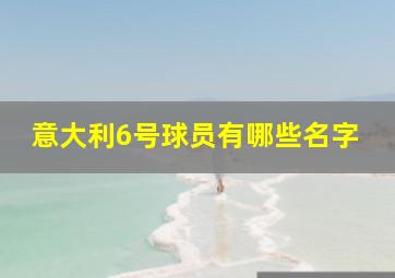 意大利6号球员有哪些名字