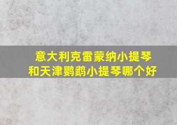 意大利克雷蒙纳小提琴和天津鹦鹉小提琴哪个好